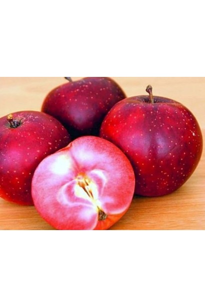 Яблуня ранньо-зимова Baya Marisa